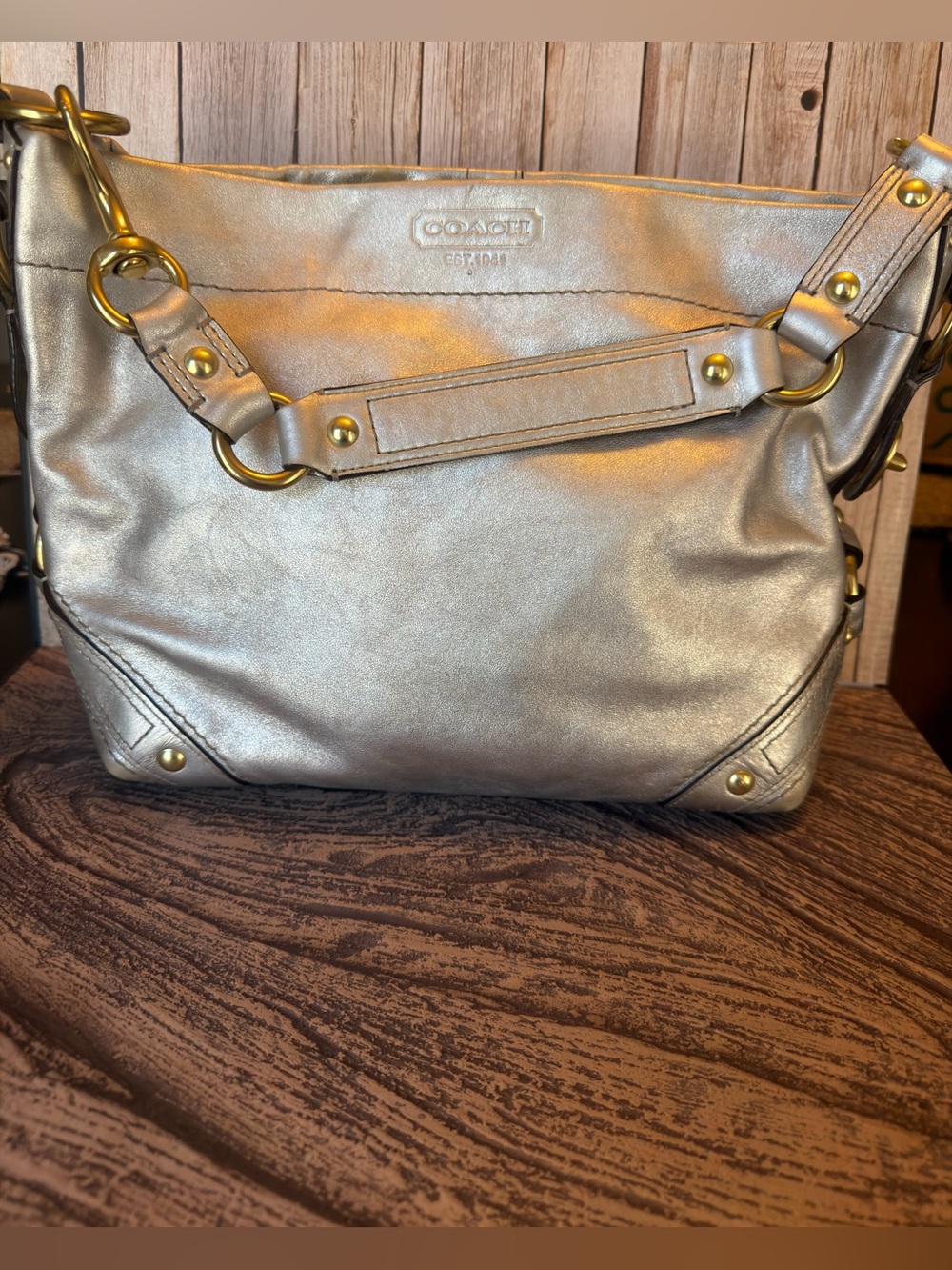 Coach Metallic Silver Leather Hobo Bag Y2K 2007 Style #11370